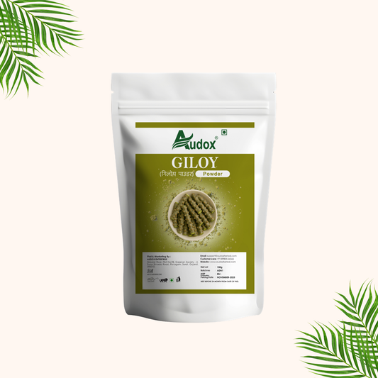 Giloy Powder - 100g 🍃